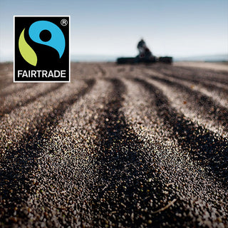 Filicori Zecchini - Certificazione Fairtrade