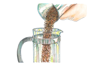 Filicori Zecchini - Brew Guide - Versare il caffè macinato nella caffettiera