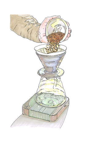 Filicori Zecchini - Brew Guide - Versare il caffè macinato nel filtro