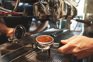 Come diventare barista: i corsi da frequentare e i consigli per intraprendere questa professione - Filicori Zecchini Italia