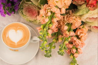 Storia del cappuccino: come è nata una delle bevande più amate dagli italiani? - Filicori Zecchini Italia