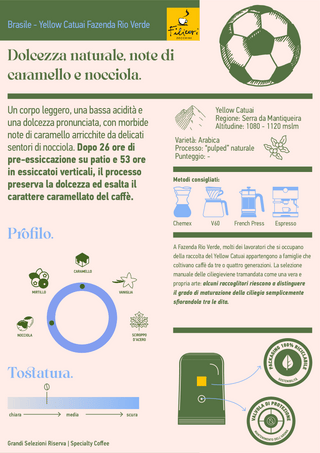 Brazil Yellow Catuai Fazenda Rio Verde C26 | Specialty Coffee
