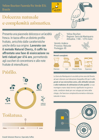 Brasil Fazenda Rio Verde B34 | Café Specialty