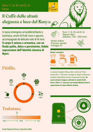 Kenya Nyeri Ruiru Othaya Farmers Cooperative | Grandi Selezioni Riserva