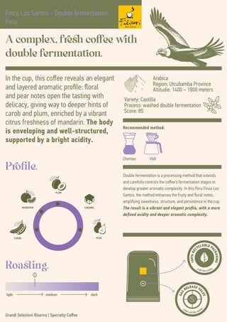 Finca Los Santos - Double Fermentation Peru | Specialty Coffee