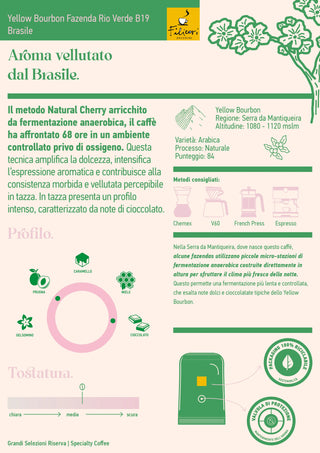 Brasil Fazenda Rio Verde B19 | Café Specialty