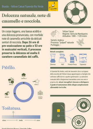 Brazil Yellow Catuai Fazenda Rio Verde C26 | Specialty Coffee