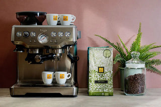 Máquina de café espresso Sage - Bolsa de 340 g de granos de café Arcadia - Tarro de cristal con granos de café tostados y planta de helecho.