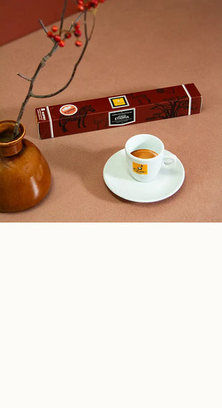 Schachtel mit Nespresso-kompatiblen Kapseln aus Aluminium Gran Cru Etiopia mit Espressotasse Filicori Zecchini.