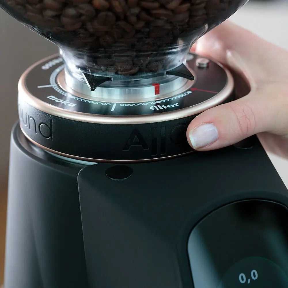 Fiorenzato AllGround Kaffeemühle Chromegehäuse Eichenholz 230V EU Fiorenzato AllGround Kaffeemühle Chromegehäuse Eichenholz 230V EU