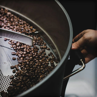 vasca di raffreddamento del caffè di una macchina tostarice per specialty